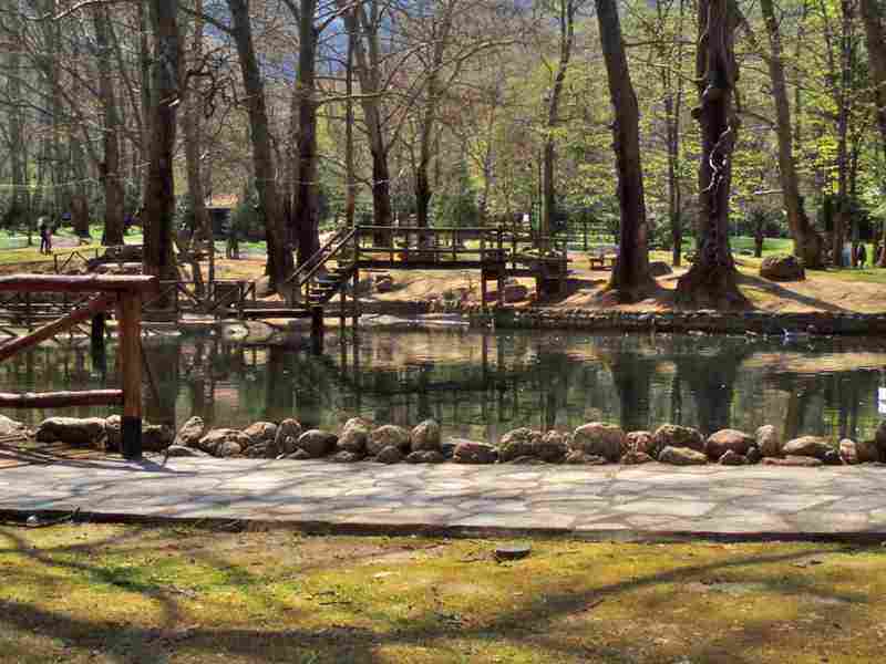 ΑΛΣΟΣ ΑΓΙΟΥ ΝΙΚΟΛΑΟΥ ΝΑΟΥΣΑ